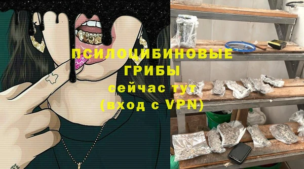 индика Белокуриха